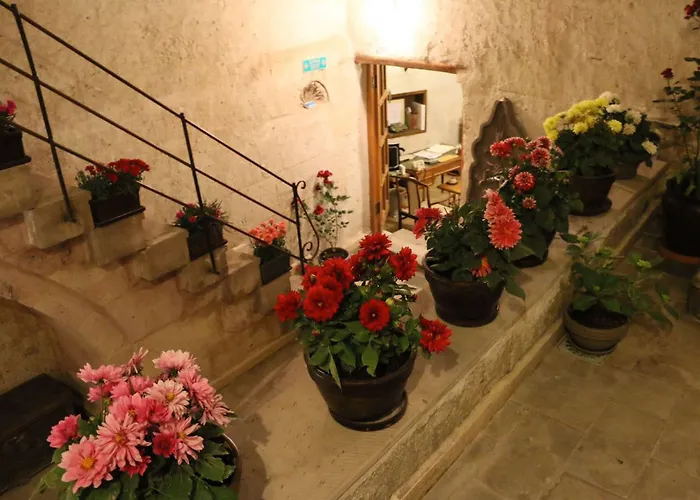 Hanimkiz Konagi 3* أفانوس